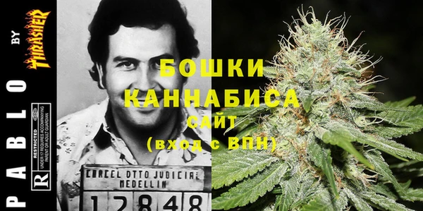 сатива Володарск