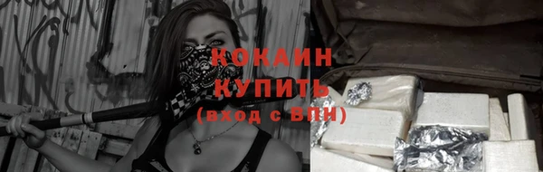 прущий лед Вяземский