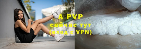 прущий лед Вяземский