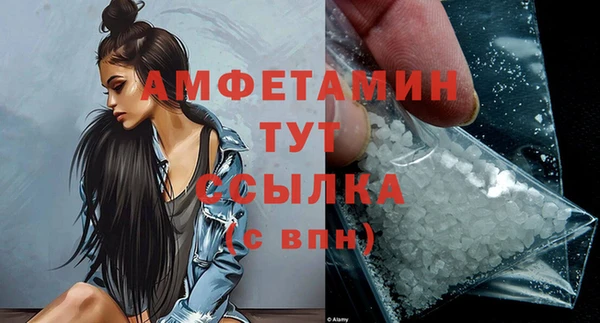 сатива Володарск