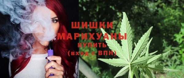 сатива Володарск